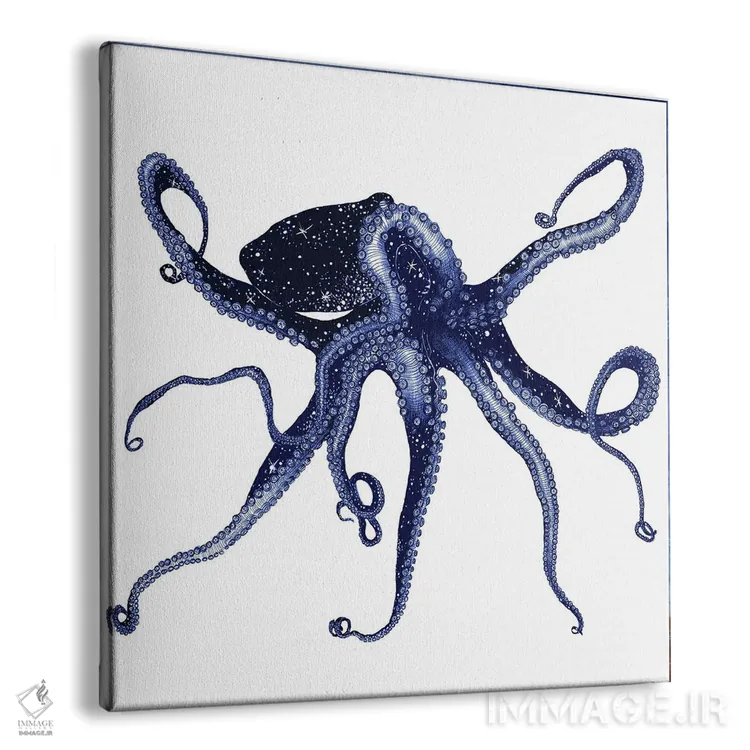 تابلو هشتپای کیهانی (نگارش رنگی) اثر الا مازور - نمای پرسپکتیو محصول