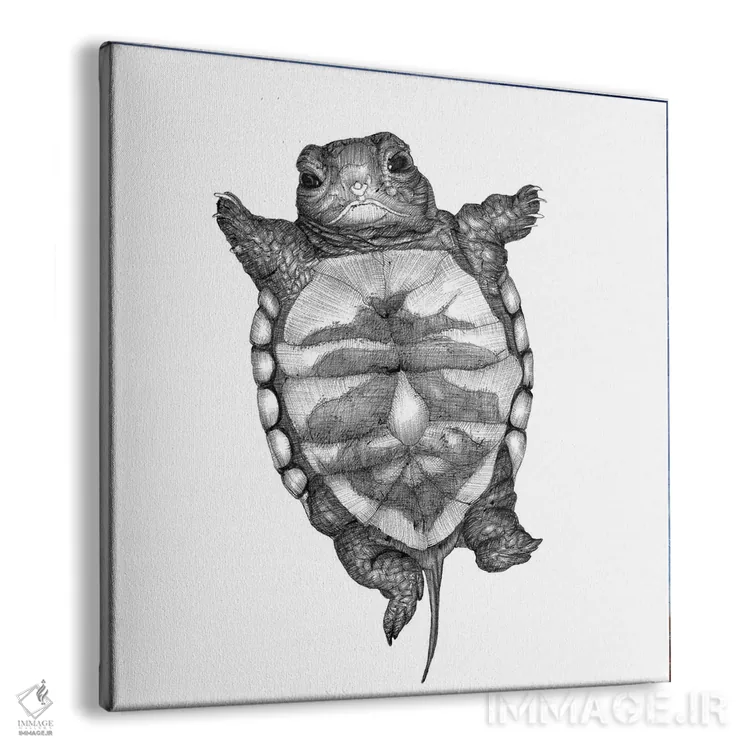 تابلو لاکپشت کوچولو اثر الا مازور - نمای پرسپکتیو محصول