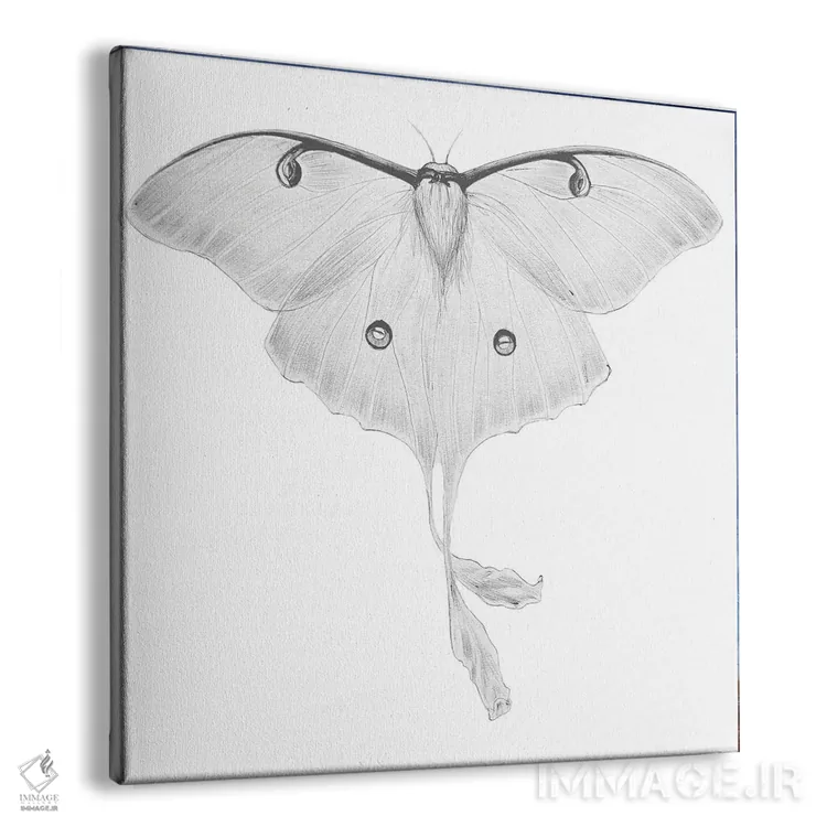 تابلو شبپرهٔ لونا اثر الا مازور - نمای پرسپکتیو محصول