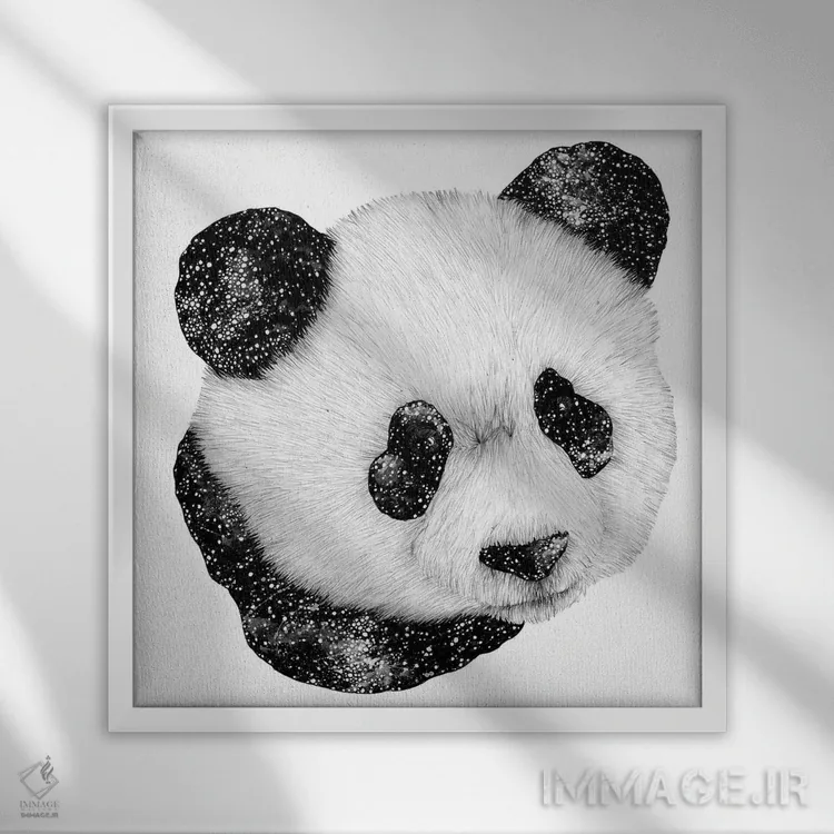 تابلو پاندای کیهانی اثر الا مازور - نمای قابدار سفید