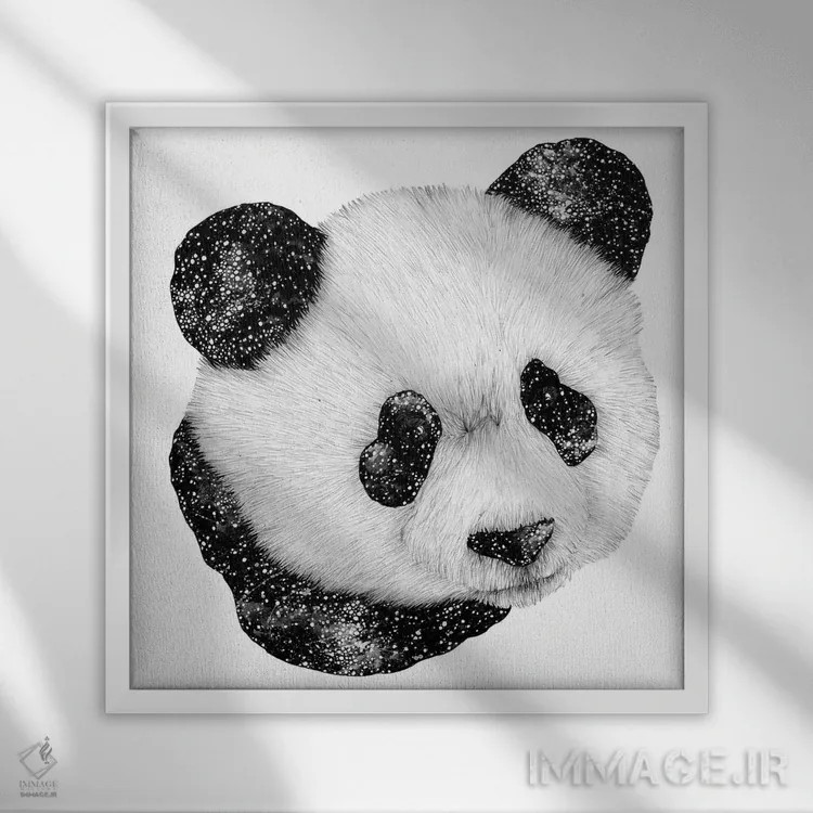 تابلو پاندای کیهانی اثر الا مازور - نمای قابدار سفید