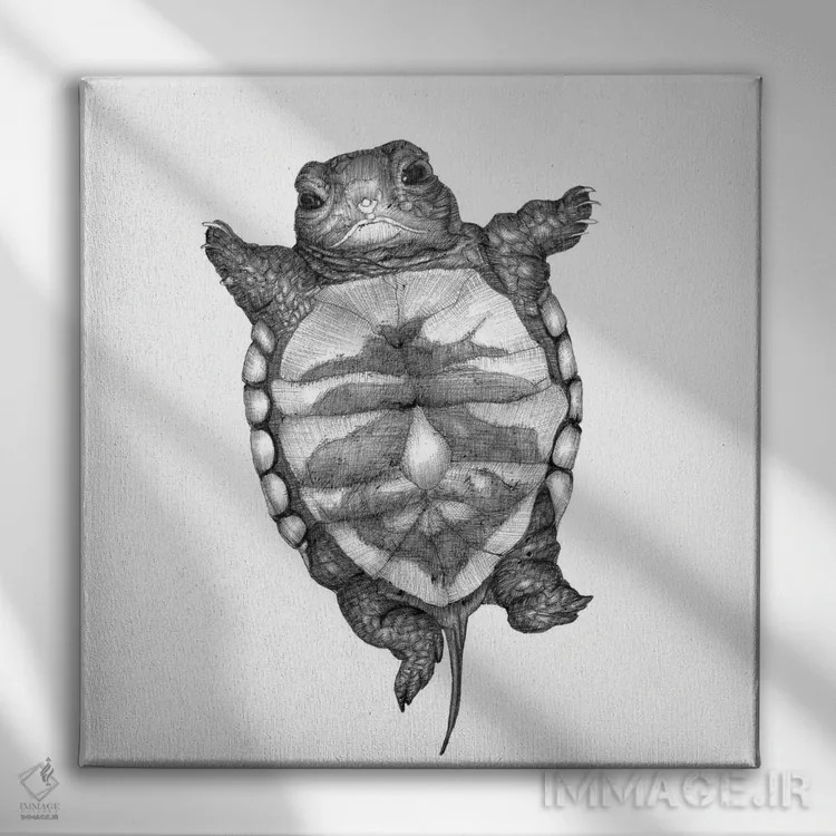 تابلو لاکپشت کوچولو اثر الا مازور - نمای روبهرو روی دیوار