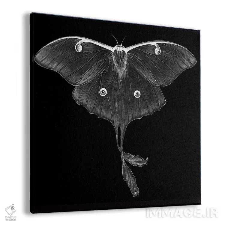 تابلو شبتابی اثر الا مازور - نمای پرسپکتیو محصول