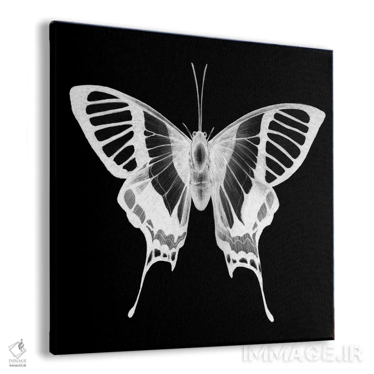 تابلو روح پروانه اثر الا مازور - نمای پرسپکتیو محصول