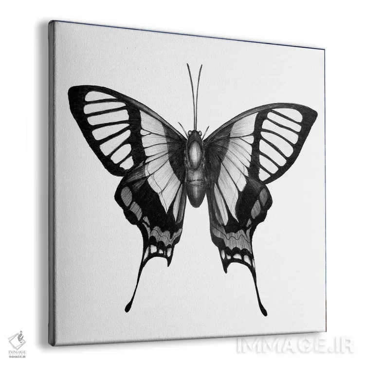 تابلو بالهای پروانه اثر الا مازور - نمای پرسپکتیو محصول