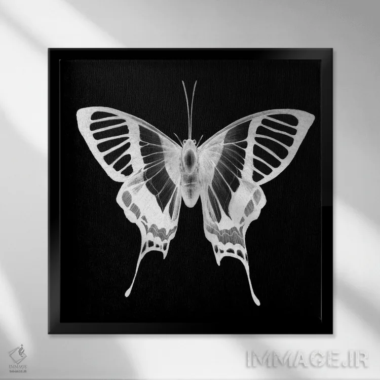 تابلو روح پروانه اثر الا مازور - نمای قابدار مشکی