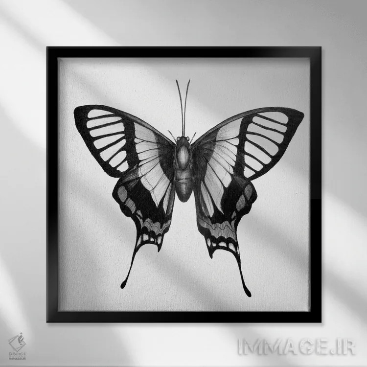 تابلو بالهای پروانه اثر الا مازور - نمای قابدار مشکی