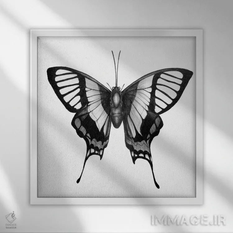 تابلو بالهای پروانه اثر الا مازور - نمای قابدار سفید