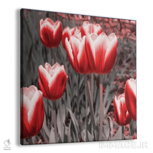 تابلو لالههای قرمز ۲ اثر امیلی ناواس - نمای پرسپکتیو محصول