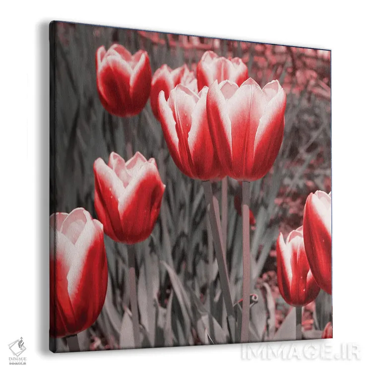 تابلو لالههای قرمز ۲ اثر امیلی ناواس - نمای پرسپکتیو محصول
