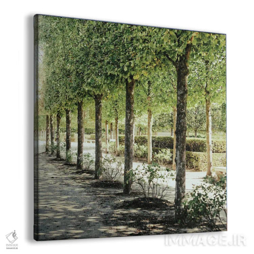 تابلو قدمزنی پاریسی ۱ اثر امیلی ناواس - نمای پرسپکتیو محصول