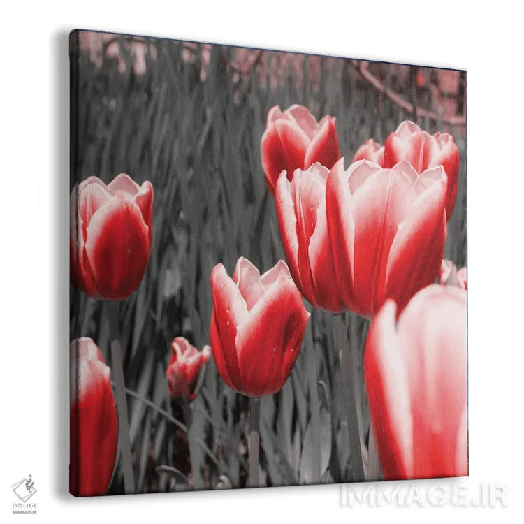تابلو لالههای قرمز ۱ اثر امیلی ناواس - نمای پرسپکتیو محصول