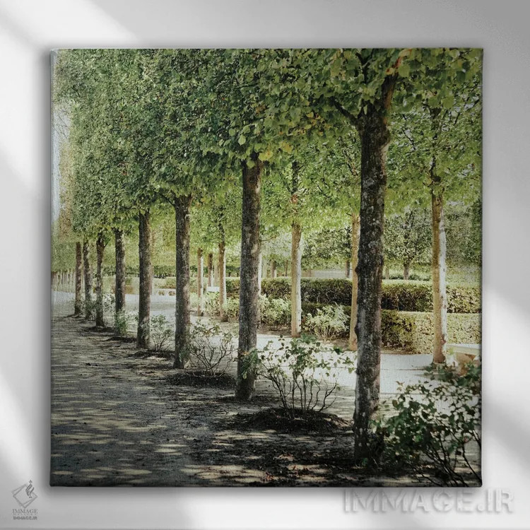 تابلو قدمزنی پاریسی ۱ اثر امیلی ناواس - نمای روبهرو روی دیوار