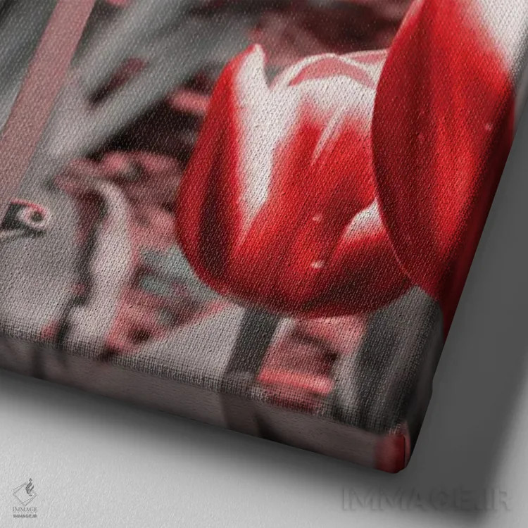 تابلو لالههای قرمز ۲ اثر امیلی ناواس - نمای نزدیک بافت بوم