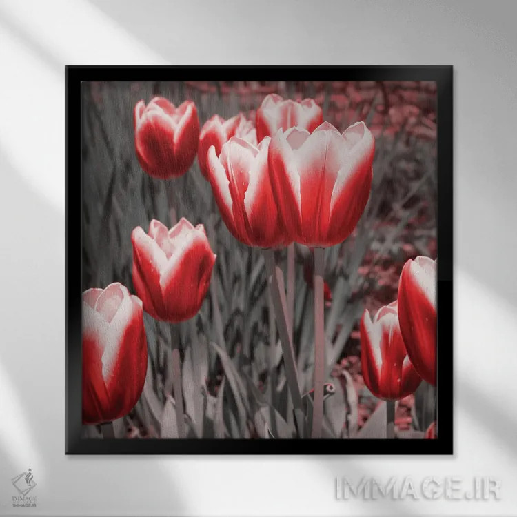 تابلو لالههای قرمز ۲ اثر امیلی ناواس - نمای قابدار مشکی