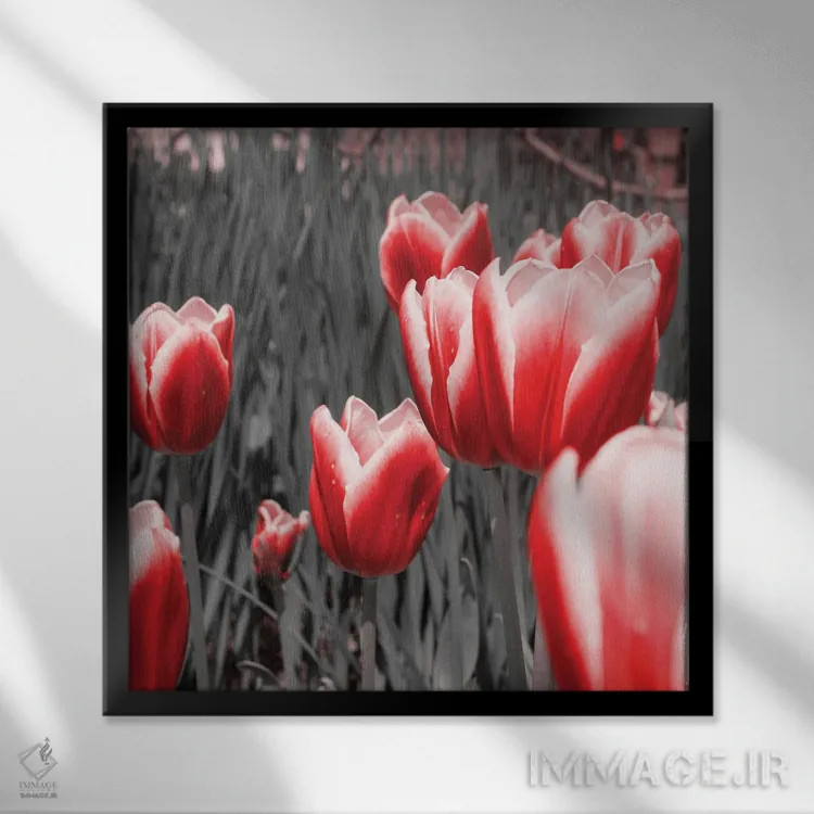 تابلو لالههای قرمز ۱ اثر امیلی ناواس - نمای قابدار مشکی