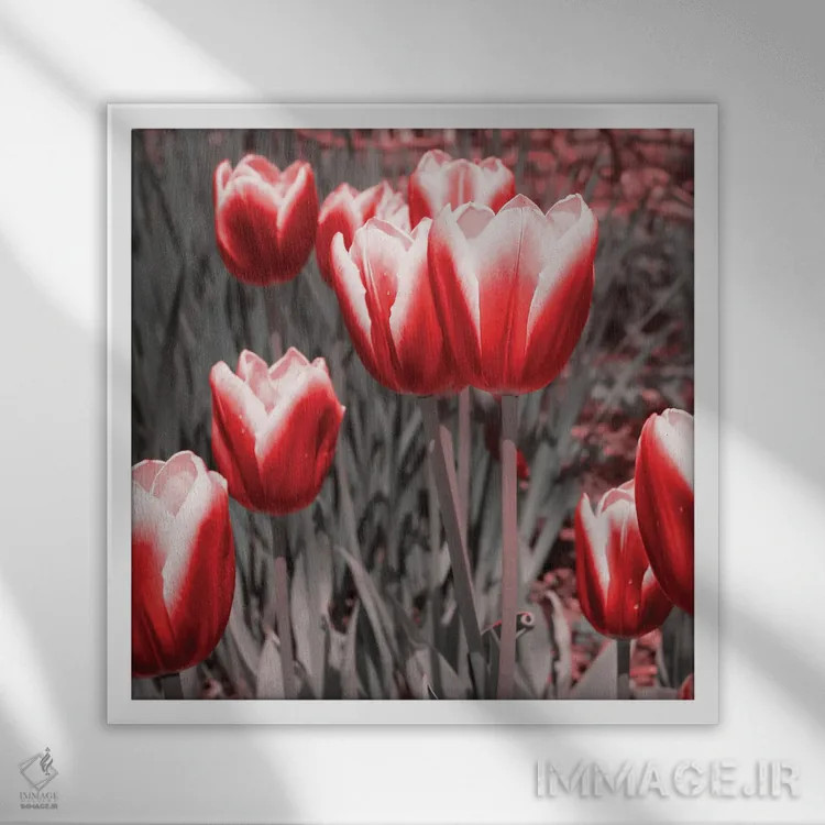 تابلو لالههای قرمز ۲ اثر امیلی ناواس - نمای قابدار سفید