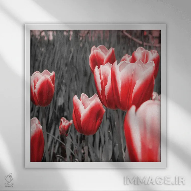تابلو لالههای قرمز ۱ اثر امیلی ناواس - نمای قابدار سفید