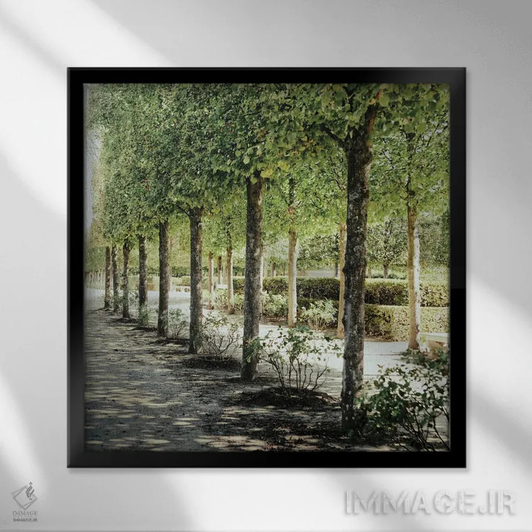 تابلو قدمزنی پاریسی ۱ اثر امیلی ناواس - نمای قابدار مشکی