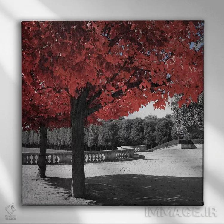 تابلو گذر در باغ اثر امیلی ناواس - نمای روبهرو روی دیوار