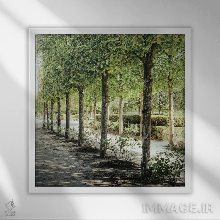 تابلو قدمزنی پاریسی ۱ اثر امیلی ناواس - نمای قابدار سفید