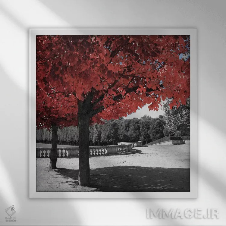 تابلو گذر در باغ اثر امیلی ناواس - نمای قابدار سفید