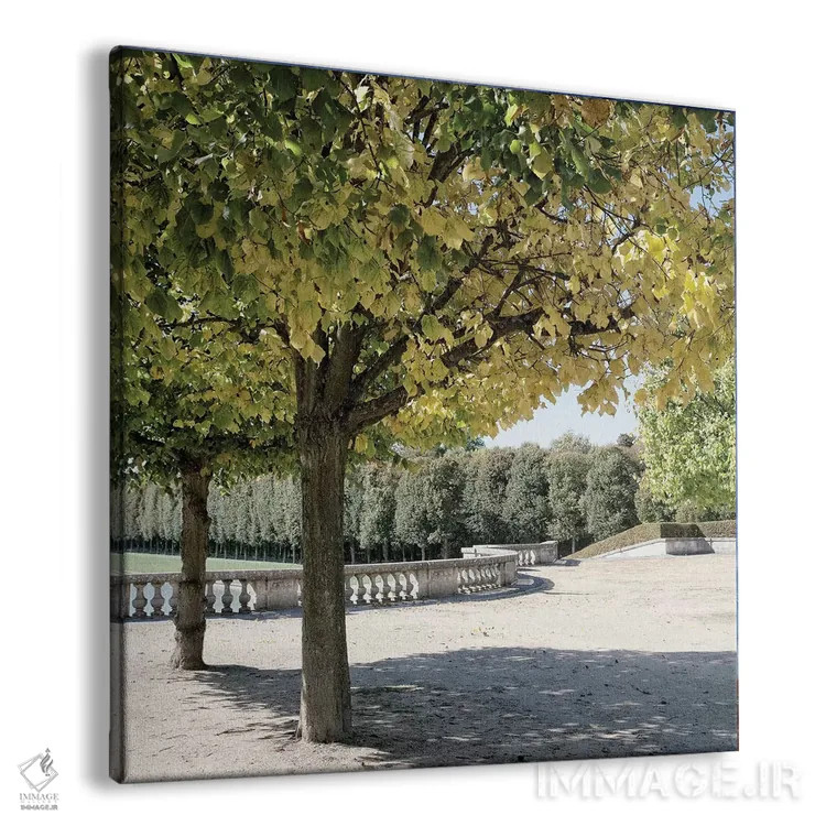 تابلو قدمزنی پاریسی ۳ اثر امیلی ناواس - نمای پرسپکتیو محصول