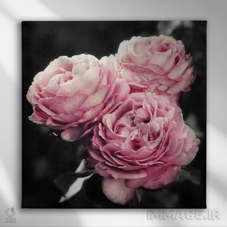 تابلو گلهای صورتی در سیاهی اثر امیلی ناواس - نمای روبهرو روی دیوار
