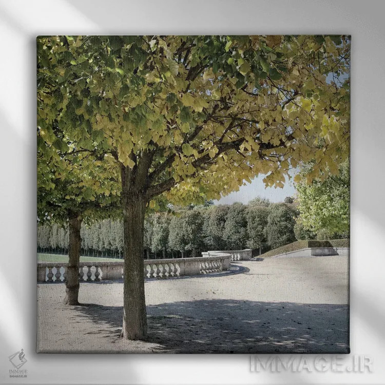 تابلو قدمزنی پاریسی ۳ اثر امیلی ناواس - نمای روبهرو روی دیوار