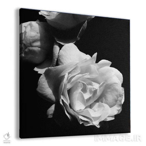 تابلو شکوفههای عاشقانهٔ باشکوه II اثر امیلی ناواس - نمای پرسپکتیو محصول