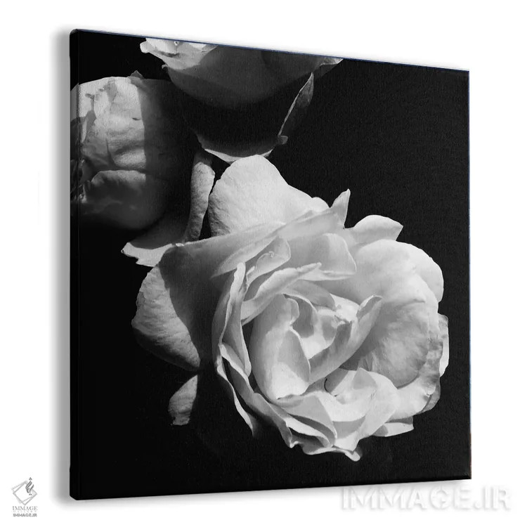 تابلو شکوفههای عاشقانهٔ باشکوه II اثر امیلی ناواس - نمای پرسپکتیو محصول