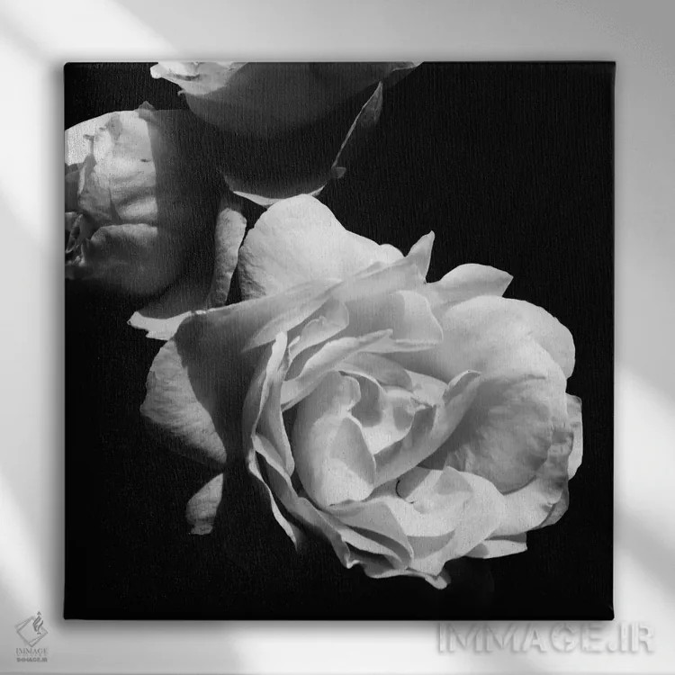 تابلو شکوفههای عاشقانهٔ باشکوه II اثر امیلی ناواس - نمای روبهرو روی دیوار