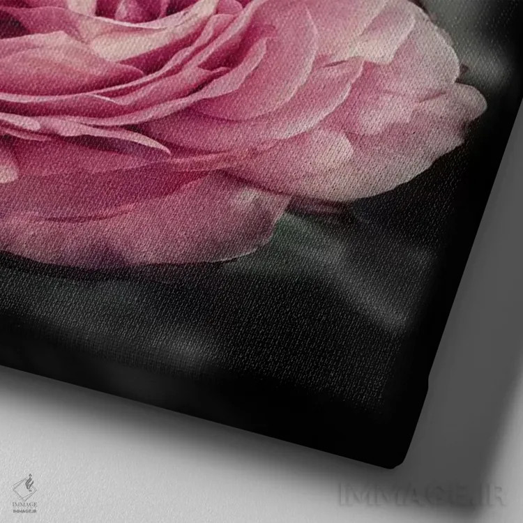 تابلو گلهای صورتی در سیاهی اثر امیلی ناواس - نمای نزدیک بافت بوم