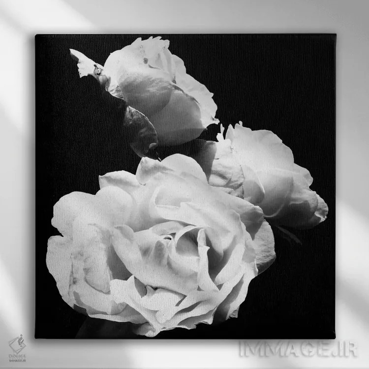 تابلو شکوفههای عاشقانهٔ باشکوه I اثر امیلی ناواس - نمای روبهرو روی دیوار