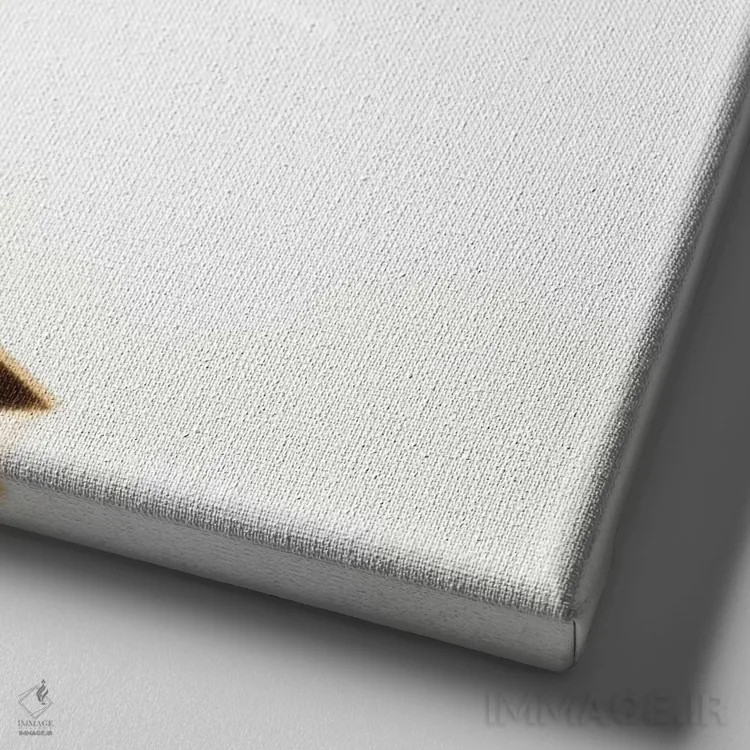 تابلو پاریس، دوستت دارم اثر امیلی ناواس - نمای نزدیک بافت بوم