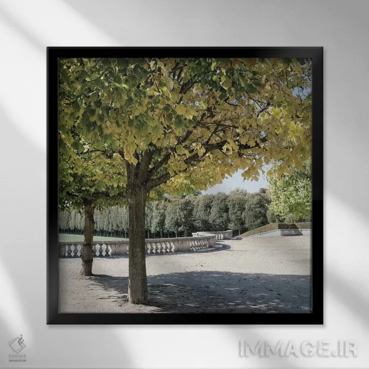 تابلو قدمزنی پاریسی ۳ اثر امیلی ناواس - نمای قابدار مشکی