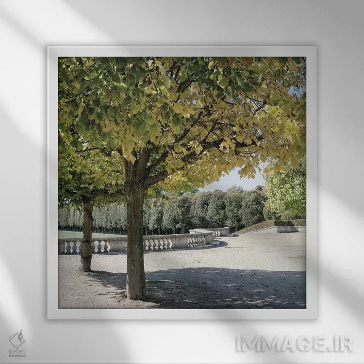 تابلو قدمزنی پاریسی ۳ اثر امیلی ناواس - نمای قابدار سفید