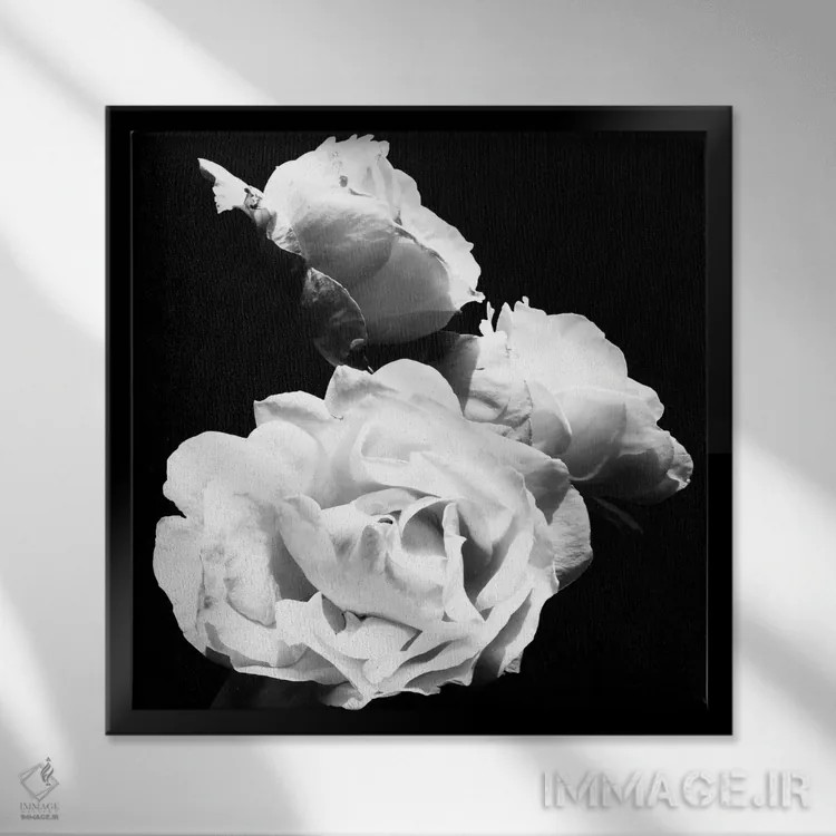 تابلو شکوفههای عاشقانهٔ باشکوه I اثر امیلی ناواس - نمای قابدار مشکی