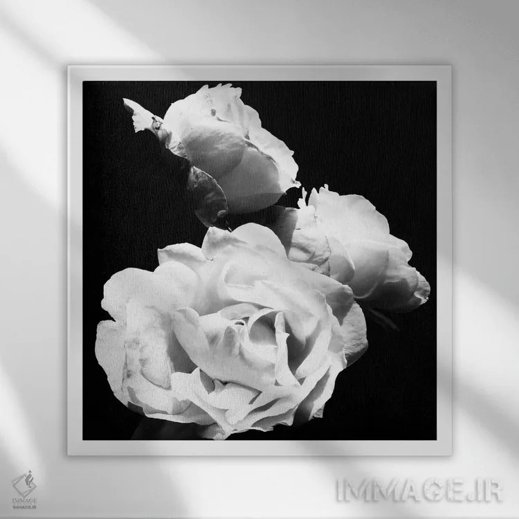 تابلو شکوفههای عاشقانهٔ باشکوه I اثر امیلی ناواس - نمای قابدار سفید