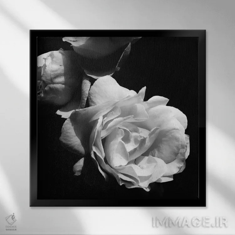 تابلو شکوفههای عاشقانهٔ باشکوه II اثر امیلی ناواس - نمای قابدار مشکی