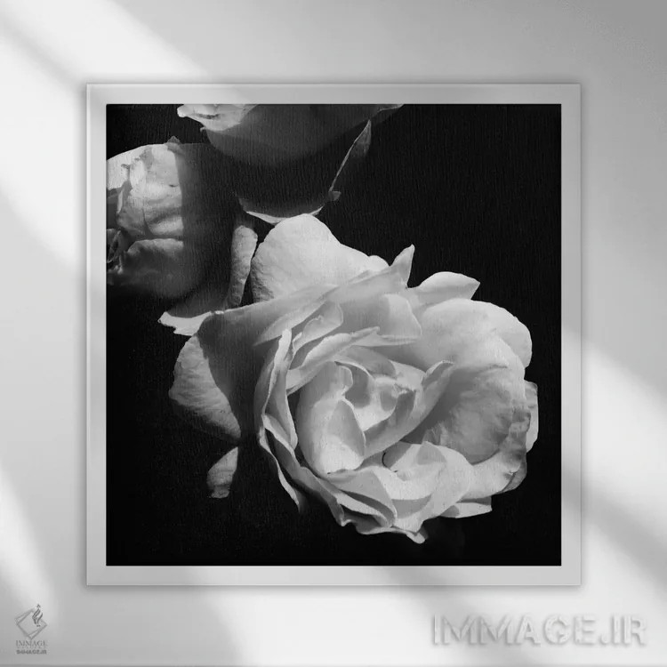 تابلو شکوفههای عاشقانهٔ باشکوه II اثر امیلی ناواس - نمای قابدار سفید