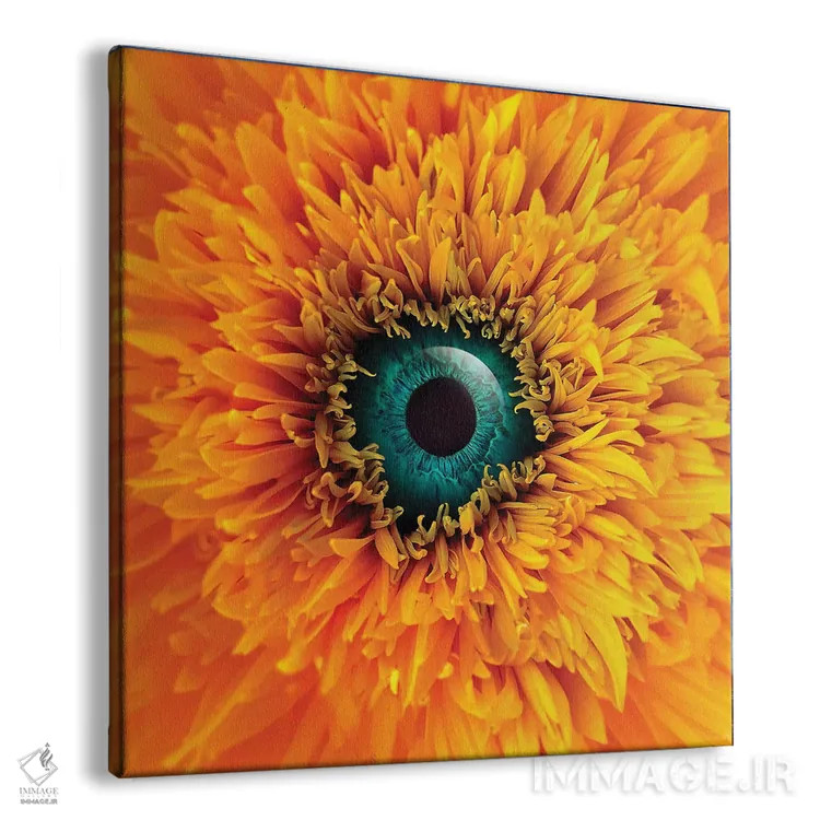 تابلو بونگاماتا (نام خاص) اثر ایان.پیاس (استودیو یا امضای هنری) - نمای پرسپکتیو محصول