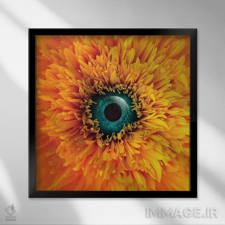 تابلو بونگاماتا (نام خاص) اثر ایان.پیاس (استودیو یا امضای هنری) - نمای قابدار مشکی