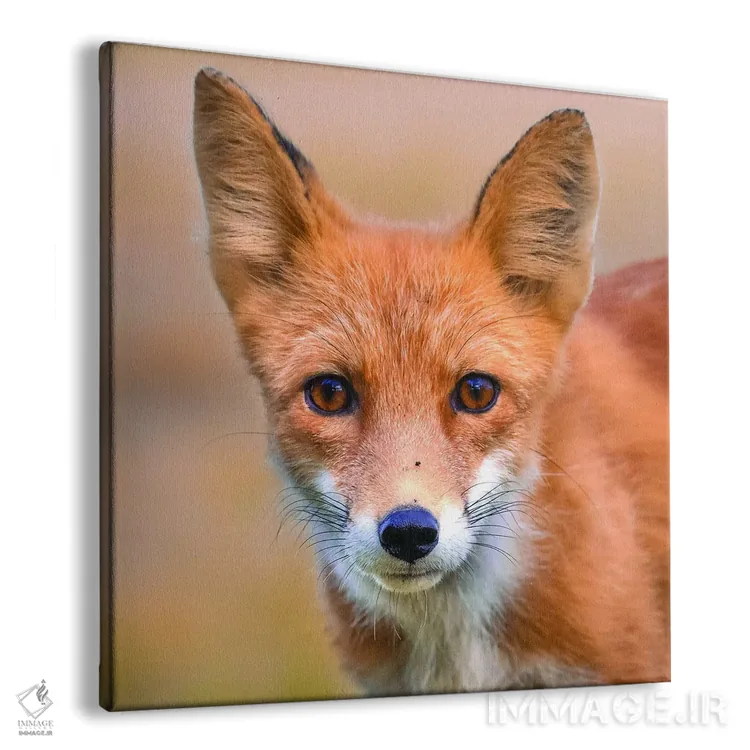 تابلو خیره شدن روباه قرمز اثر اریک فیشر - نمای پرسپکتیو محصول