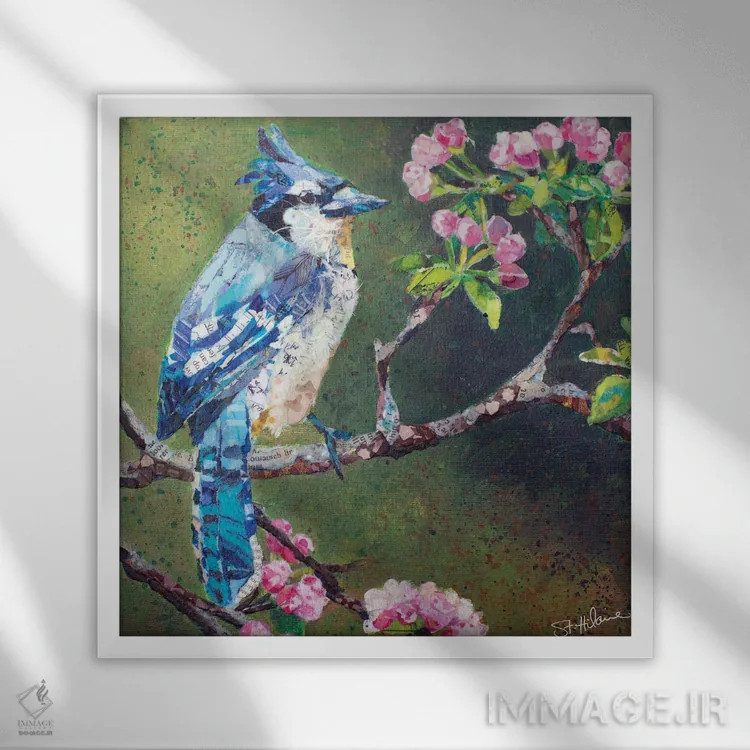 تابلو زاغ کبود روی شکوفههای سیب اثر الیزابت سن هیلر - نمای قابدار سفید