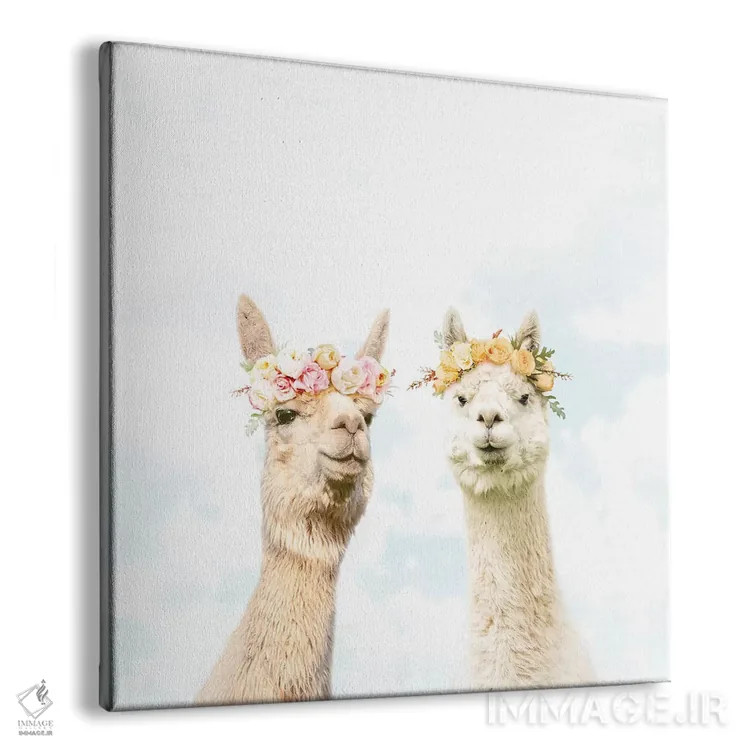 تابلو آلپاکاها در شکوفهزار اثر ارین سامر - نمای پرسپکتیو محصول