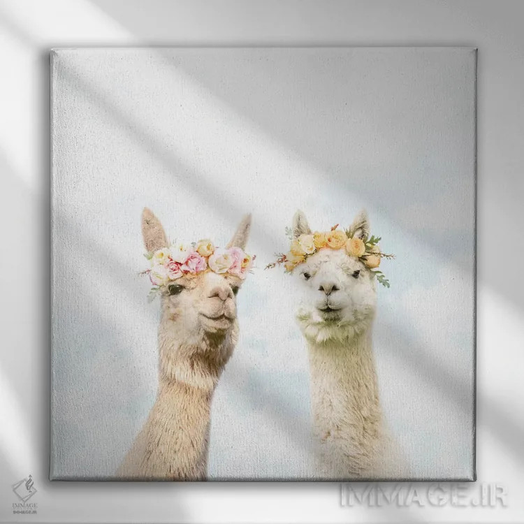 تابلو آلپاکاها در شکوفهزار اثر ارین سامر - نمای روبهرو روی دیوار