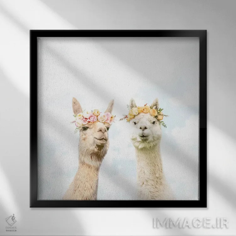 تابلو آلپاکاها در شکوفهزار اثر ارین سامر - نمای قابدار مشکی