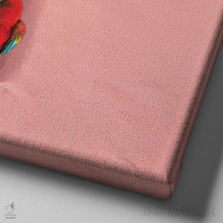 تابلو طوطی مکائو بر مرجان اثر ارین سامر - نمای نزدیک بافت بوم