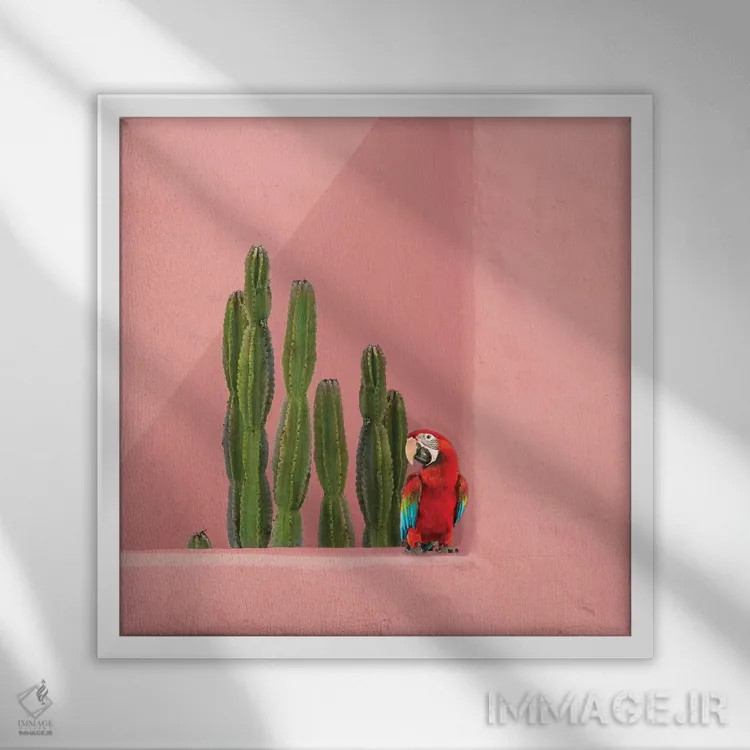 تابلو طوطی مکائو بر مرجان اثر ارین سامر - نمای قابدار سفید